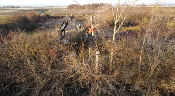 Grappin d'abattage FMS600