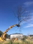 Grappin coupeur GRA-C 30