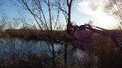 Grappin d'abattage FMS500
