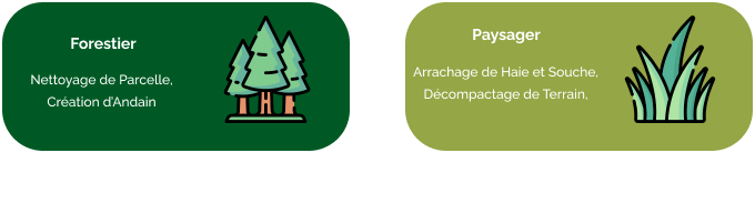 Graphique informatif illustrant les services forestiers et paysagers. Le volet ‘Forestier’ met en avant des services tels que le nettoyage de parcelle et la cration d’andain, illustrs par des arbres et une cabane en rondins. Le volet ‘Paysager’ prsente des services de jardinage avec des illustrations de plantes et de jardins